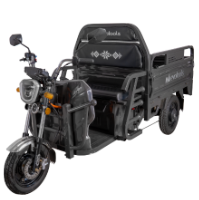 Triciclo Elétrico de Carga Balaur TRCC1000